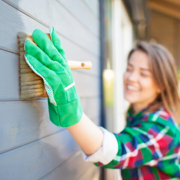 Exterior House Painting &#8211; Things to Know and Consider