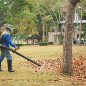 3 Popular Leaf Blowers to Choose From