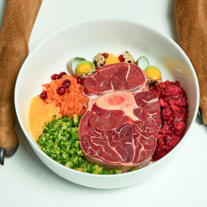 4 simple tips to choose healthy dog food