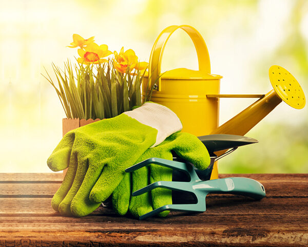 5 Gardening Accessories You Simply Must Have