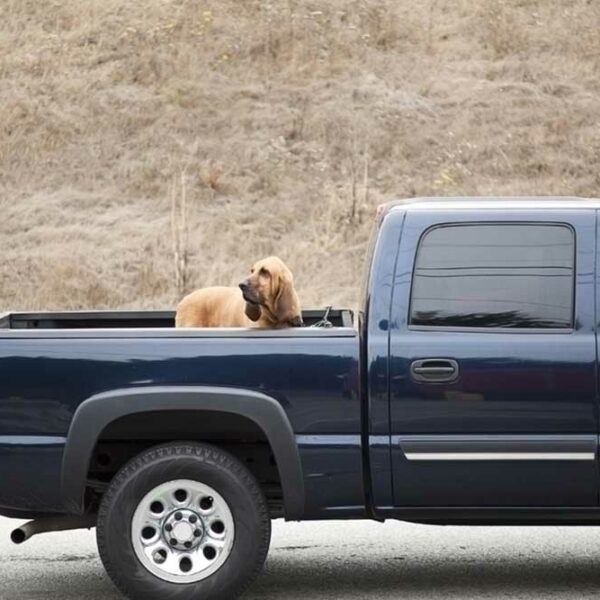 5 Top-Rated Truck Bed Covers to Choose From