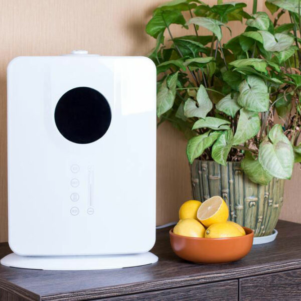 5 best home air purifiers