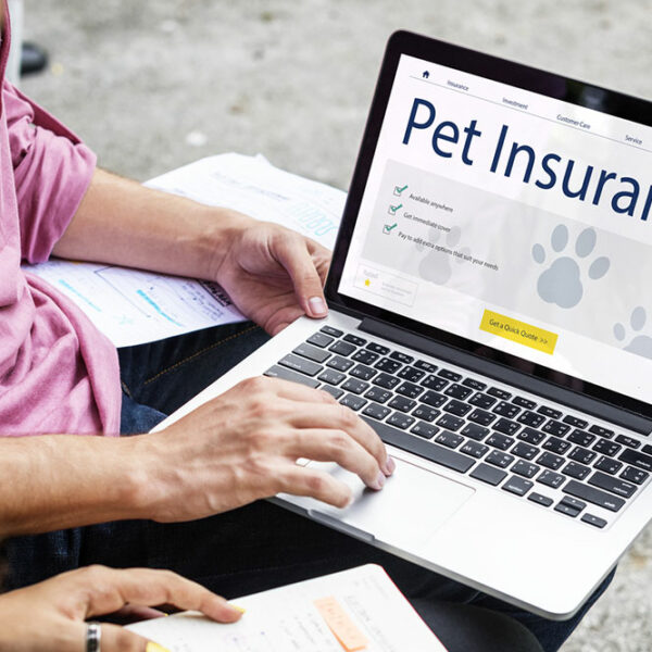 5 factors to consider before getting pet insurance