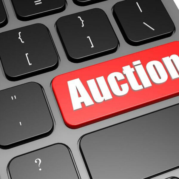 A glance at the popular car auction websites