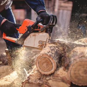 All You Need to Know When You Buy Chainsaws