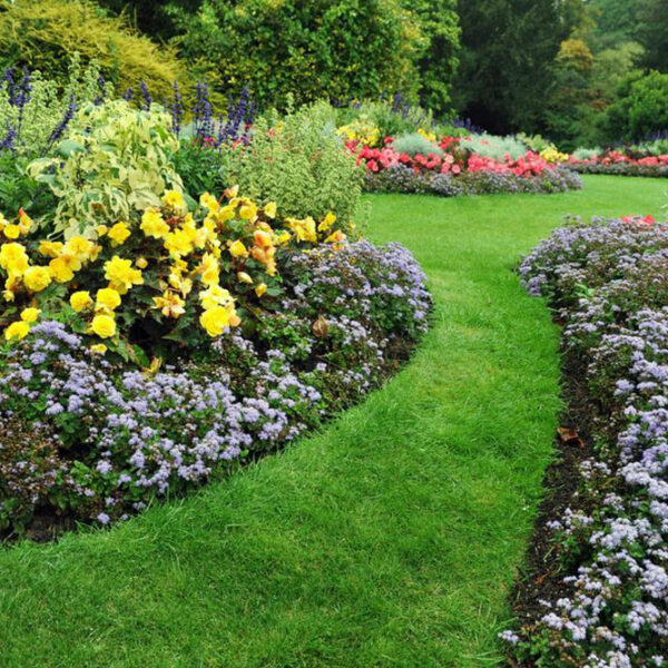 Green spaces and garden remodeling