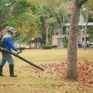 Guide for buying the best leaf blower