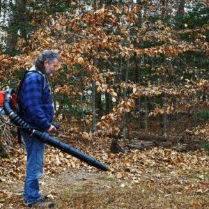 Know about the Types of Leaf Blowers