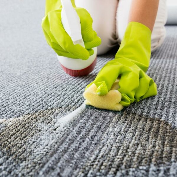 How to remove coffee stains, pet mess, and ink stains from your carpet