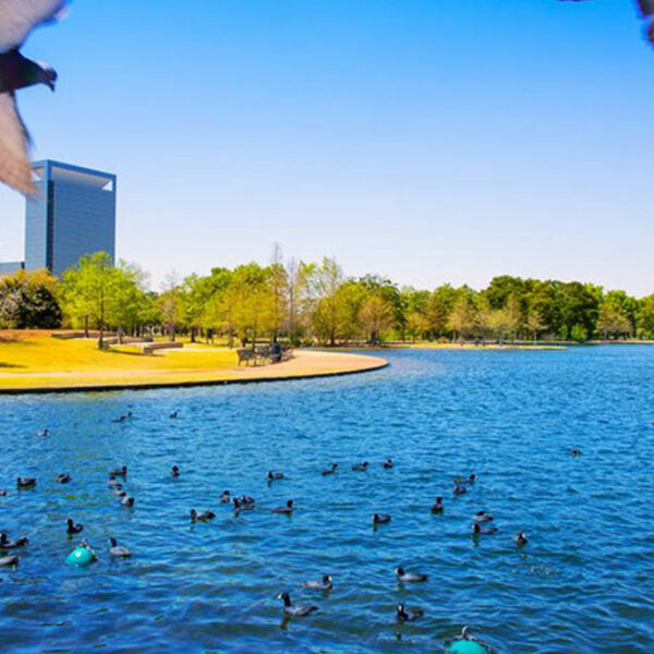 Here&#8217;s what you will find in the Texas waters during summer and spring