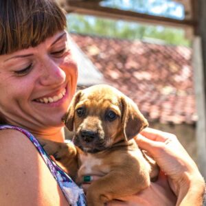 Important Factors to Consider Before Adopting Puppies