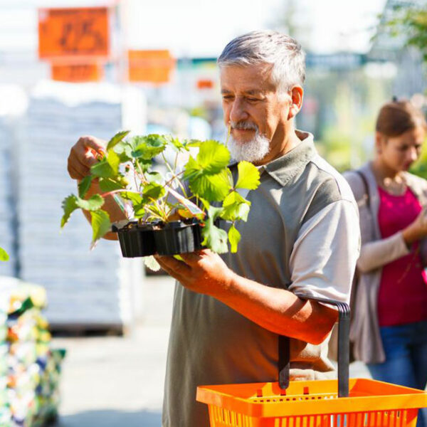 Love gardening? Here&#8217;s how you can start a garden in your backyard