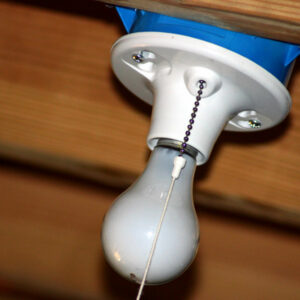 Light bulbs to lighten up the house