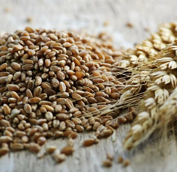 Why You Need to Add Wheat Berries to Your Diet