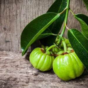 Things to know about Garcinia Cambogia