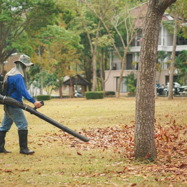 Tips for buying a gas leaf blower