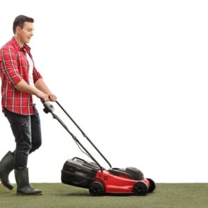 Tips to buy lawn mowers in lawnmower sale