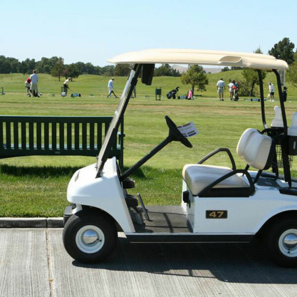 Types of golf cart batteries