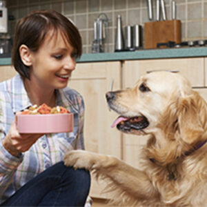 4 things to remember while shopping for dog food