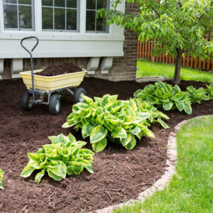 Advantages of buying rubber mulch in bulk