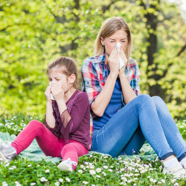 All You Need to Know about Pollen Allergy