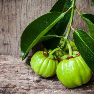 Garcinia &#8211; Its Proposed Benefits and Side Effects