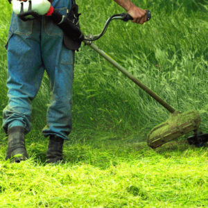 One Step To A Weed-Free Garden