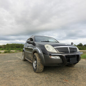 Salient features of the Lincoln MKX