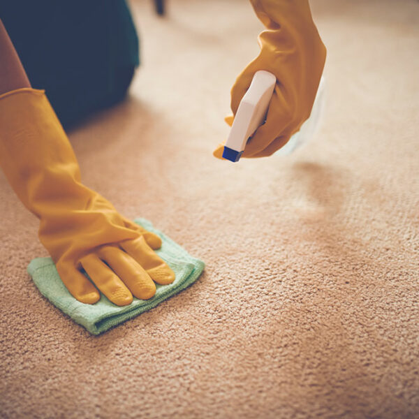 Popular carpet stain removers