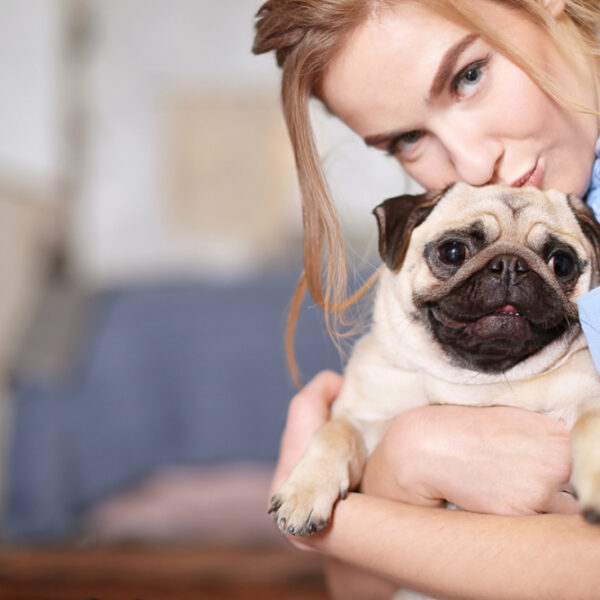 What You Need To Know When Adopting Dogs