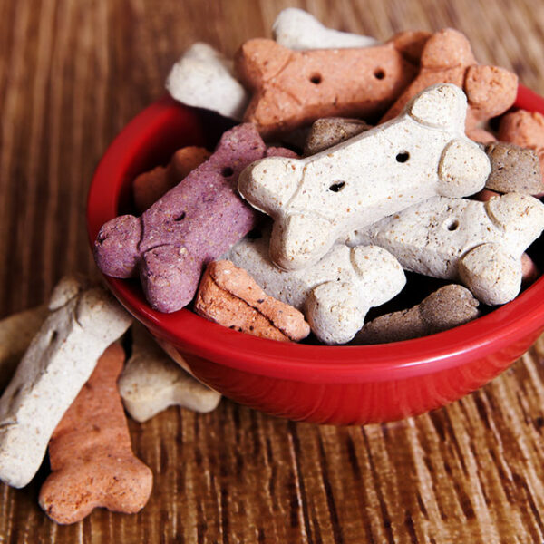 Top 5 best dry pet food brands for dogs