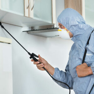 A guide to getting the right pest control done