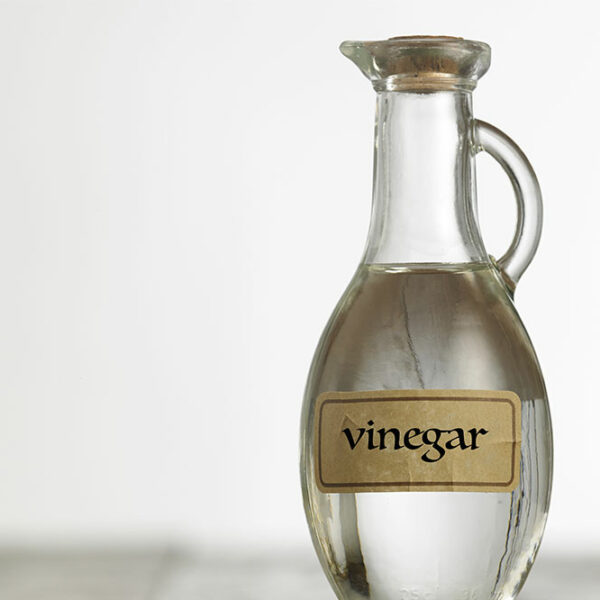 White Vinegar for Ant Control &#8211; How It Works and Ways to Use